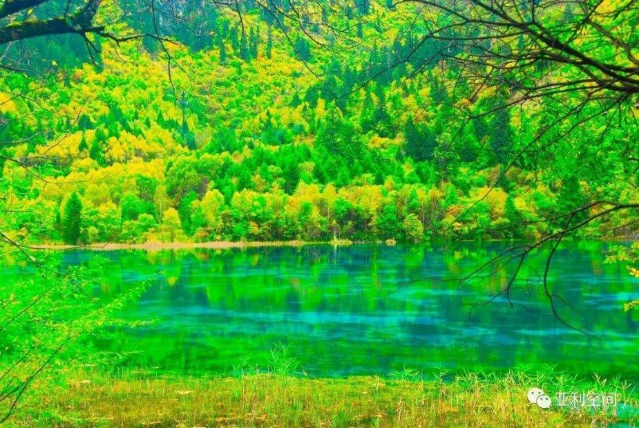 ​体内湿气过重，会侵扰脾胃，导致失调，哪些方法或能调理？游戏画面